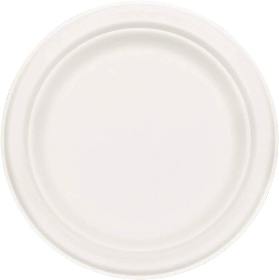 Natureland 10Inch 20P Paper Plates From Sugar Cane 1Pcs