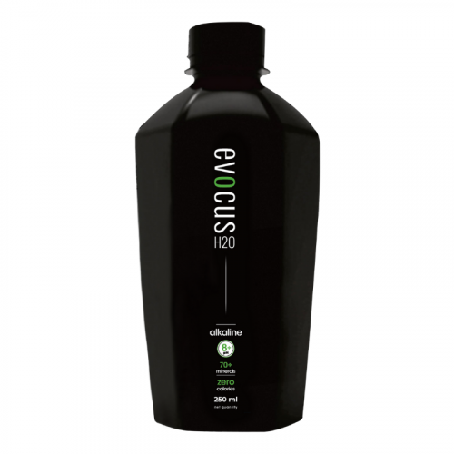 Evocus Alkaline Water 250Ml