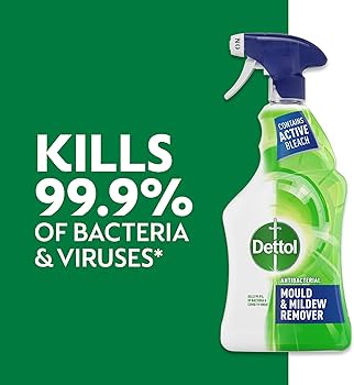 Dettol Mould &B Mildew Remover 750Ml