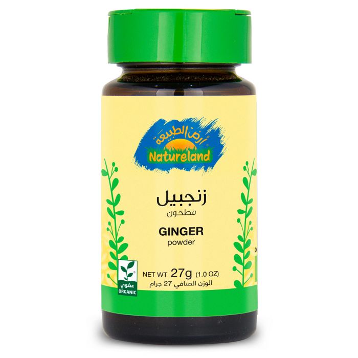 Natureland Ginger Powder 27Gm