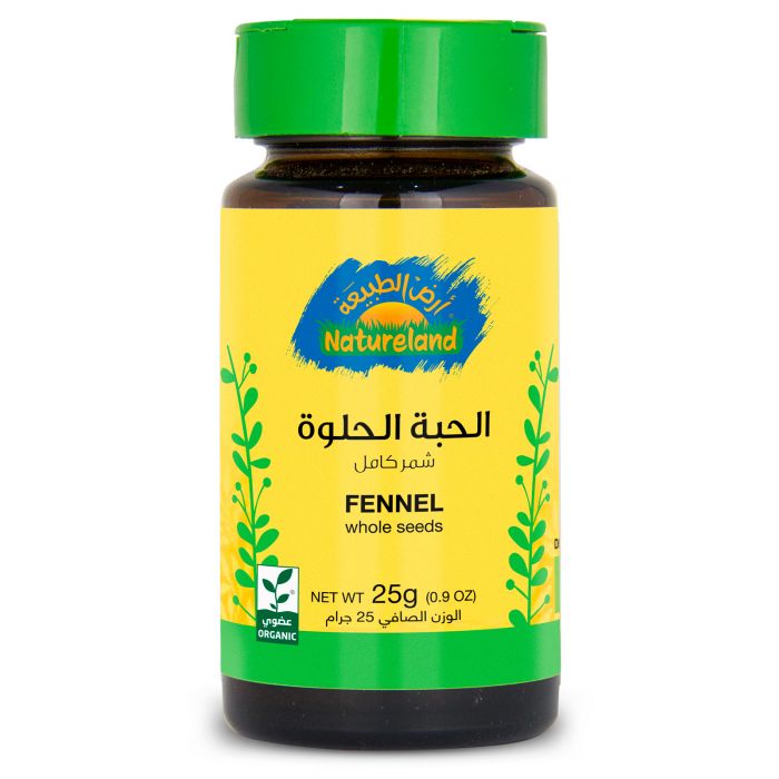 Natureland Whole Seeds Fennel 25Gm
