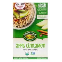 Natures Path Gf Spiced Apple Organic Oatmeal 320Gm