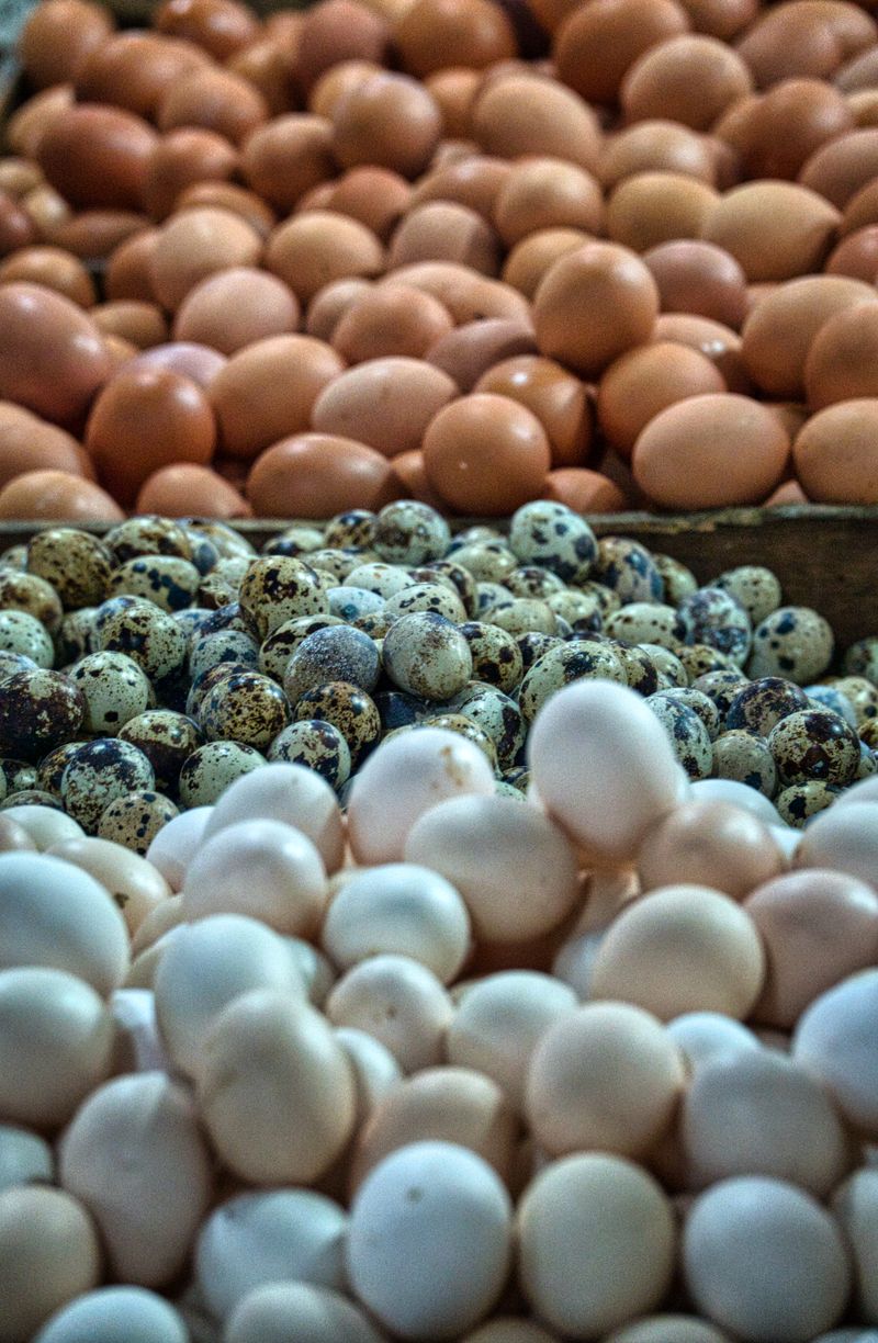 High-Protein — HSquare