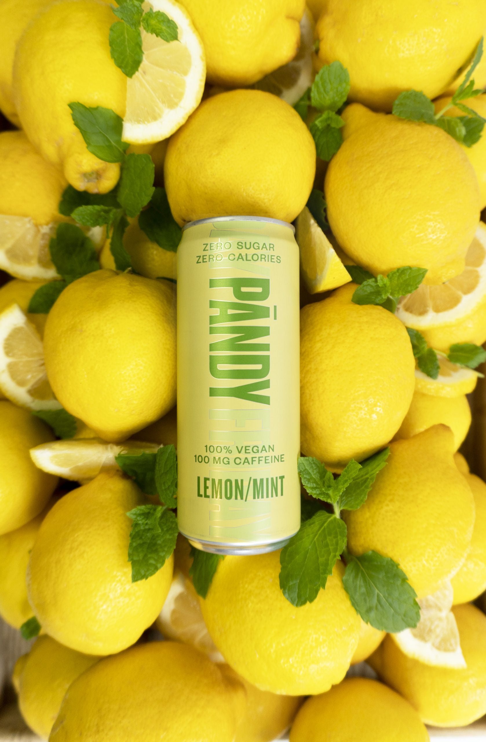 Pandy Lemon Mint Energy Drink 330Ml