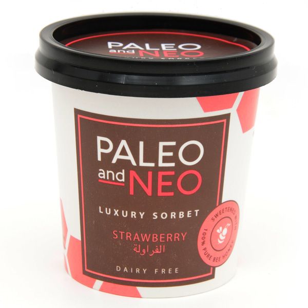Paleo And New Strawberry Luxury Sorbet 100Ml